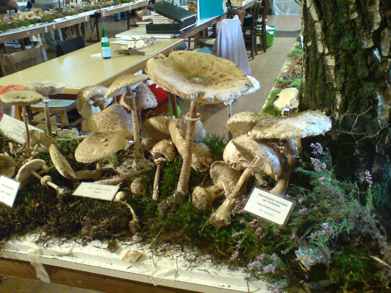 2011091904.jpg