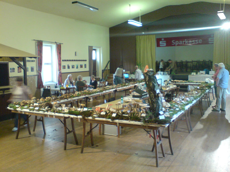 2011091903.jpg