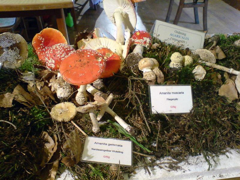 2011091905.jpg