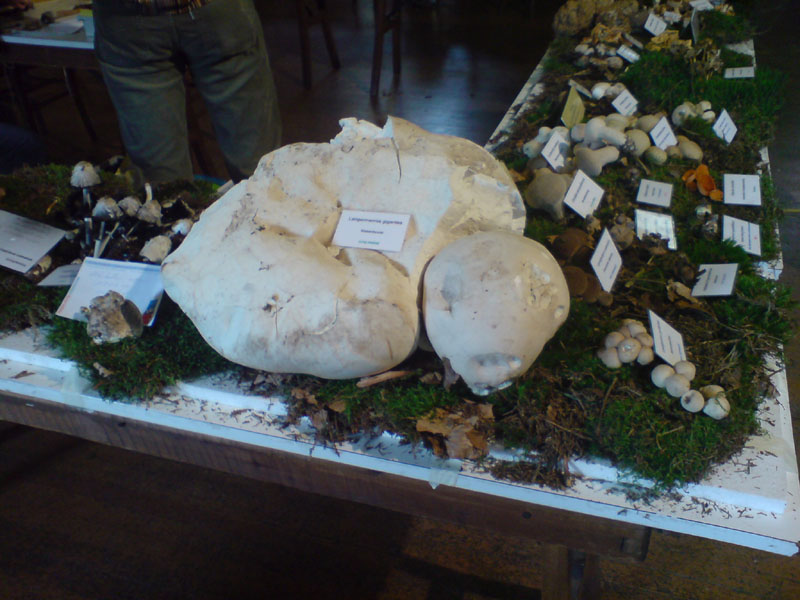 2011091902.jpg