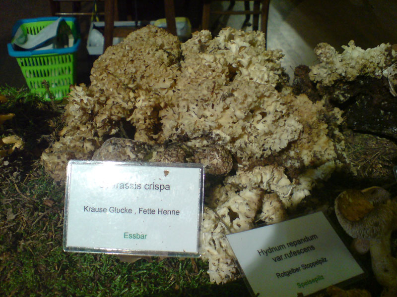 2011091901.jpg