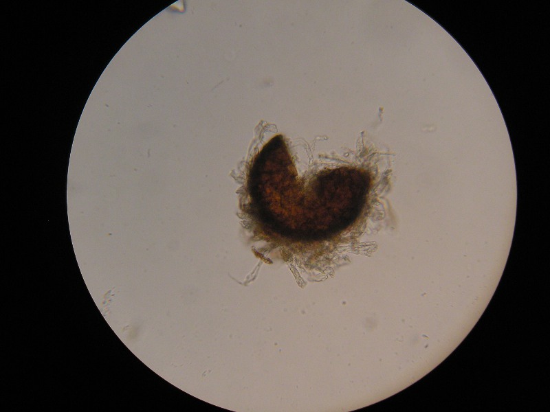 1000er Karlsruhe (15).JPG