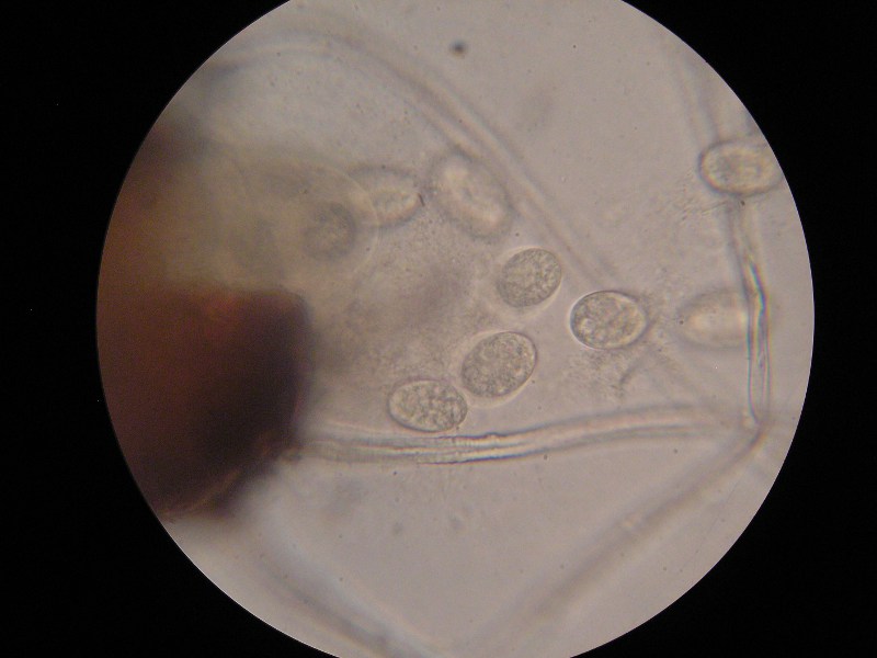 1000er Biozentrum (14).JPG