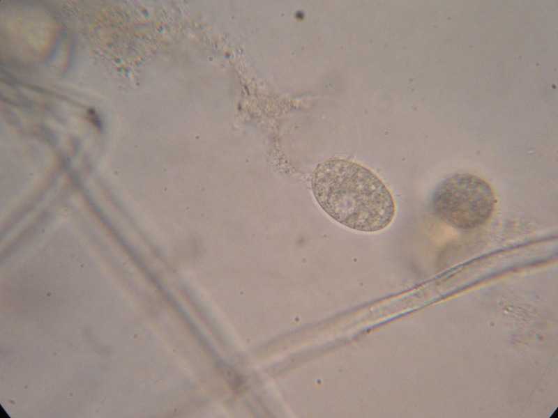 1000er Biozentrum (19).JPG