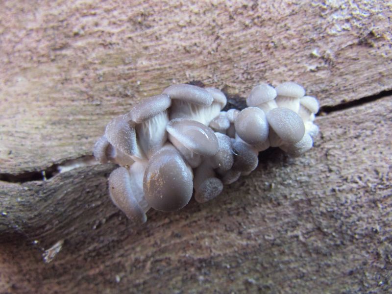 21.11. etwas größer.jpg