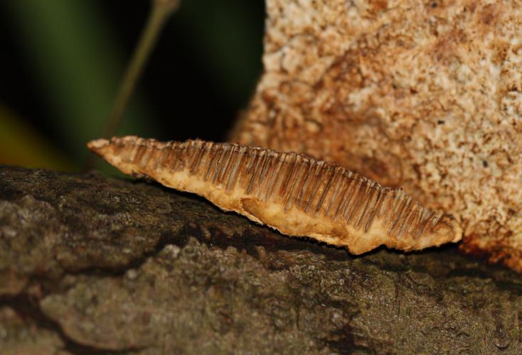 Nr. 7, Schnitt_734x500.jpg