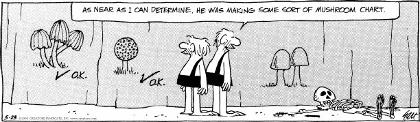 bc mushroom funny.jpg