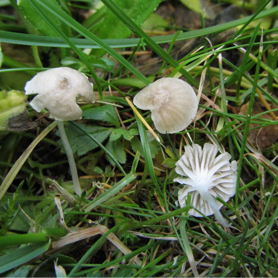 Erste Canon Sx220 Bilder 050_thumb.jpg