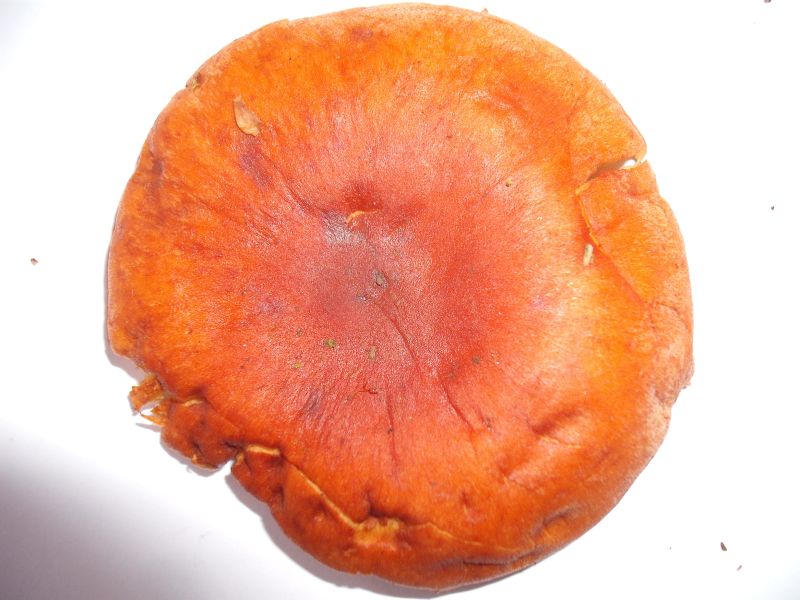 DSCF9268 - verkleinert.jpg