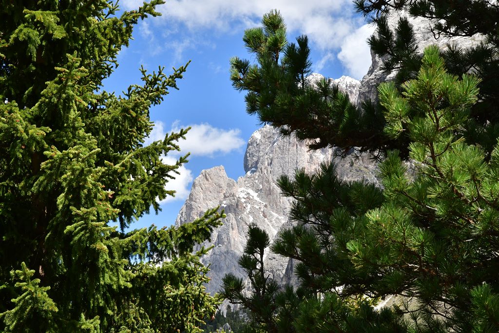 Plattkofel 
beim Abstieg nach Saltria aufgenommen
