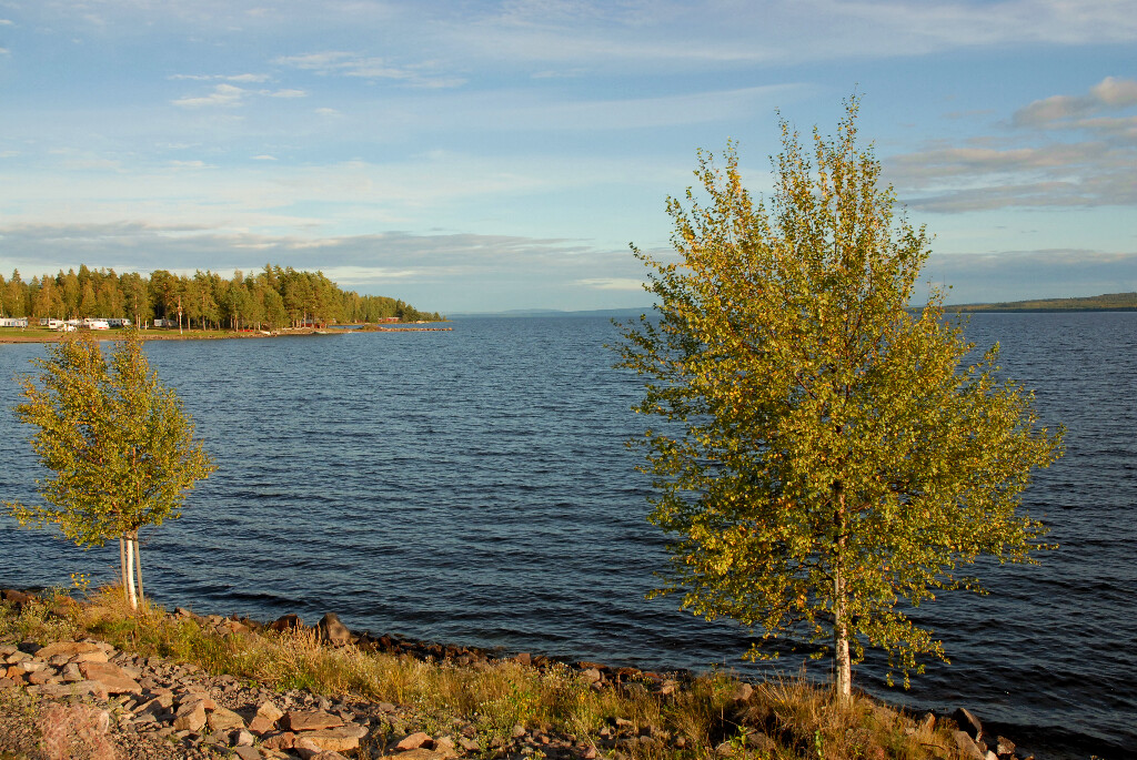 am Ufer der Insel Sollerön

