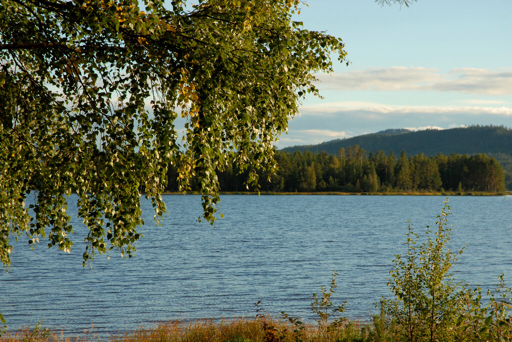 Blick über den See
