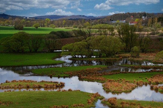 Biotop Beeden2 Beeden ist ein Stadtteil von Homburg im Saarland. Vor vielen Jahren wurde hier ein Biotop angelegt das heute unter anderem ein Vielzahl von Vögeln beheimatet.