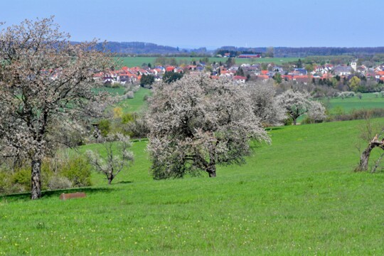 Erfweiler Blick auf Erfweiler im südlichen Saarland.