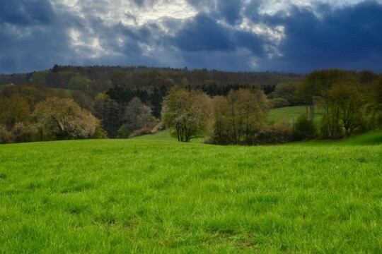 Gelände bei Bexbach ( Saarland )