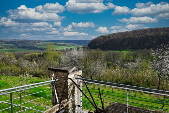 Lochfeld Blick vom Haus Lochfeld in Mandelbachtal ( Saarland ) ins Biosphärenreservat Bliesgau..