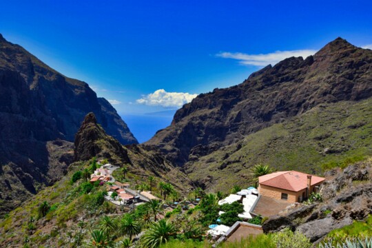 an der Mascaschlucht Im Westen von Teneriffa liegt im Tenogebierge die Mascaschlucht. Von dem kleinen Bergdorf aus kann man an geführten Wanderungen bis hinunter zum Altlantik...