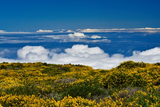 auf dem Roque de Los Muchachos (3)