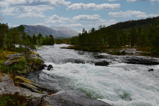 am Likeholfossen ( 2 )