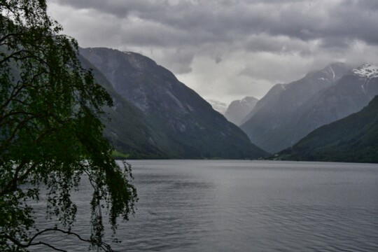 ein trüber Tag am Fjord