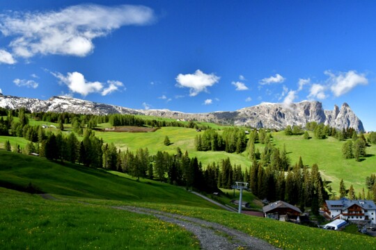 im Schlerngebiet (2)