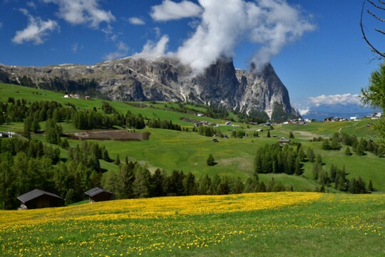 im Schlerngebiet (4)