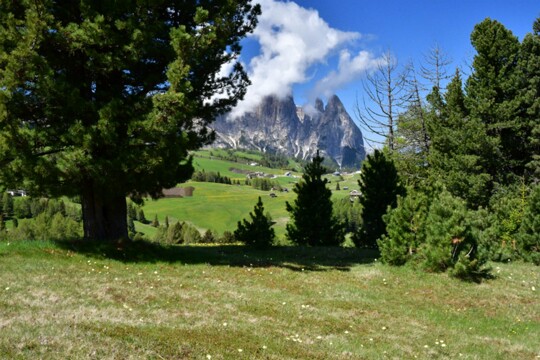 im Schlerngebiet (5)