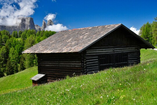 im Schlerngebiet (9)